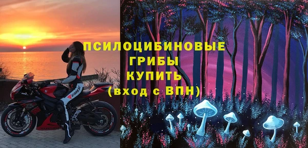 ALPHA PVP Ростов