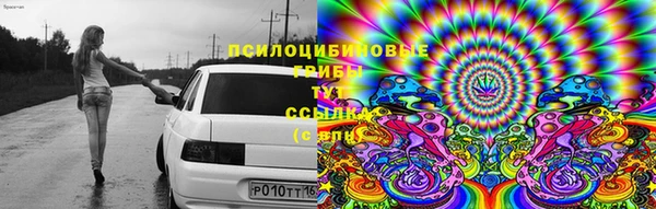 эйфоретик Вяземский