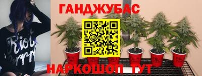 соль ск Заводоуковск