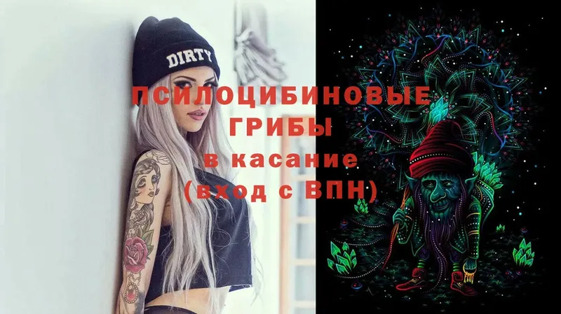 Псилоцибиновые грибы Magic Shrooms  darknet формула  Тулун 