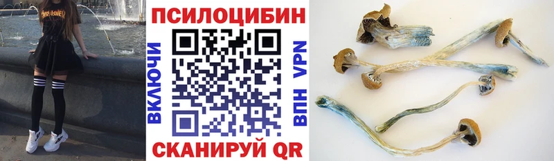 маркетплейс формула  Тулун  Галлюциногенные грибы GOLDEN TEACHER 