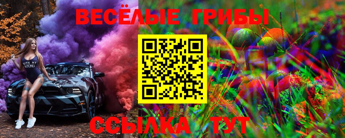 Галлюциногенные грибы ЛСД Тулун